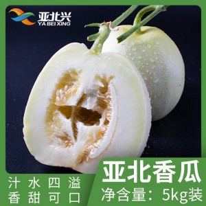 广东亚北 香瓜 5kg/箱装