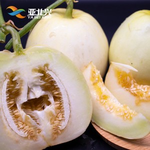 广东亚北 香瓜 5kg/箱装