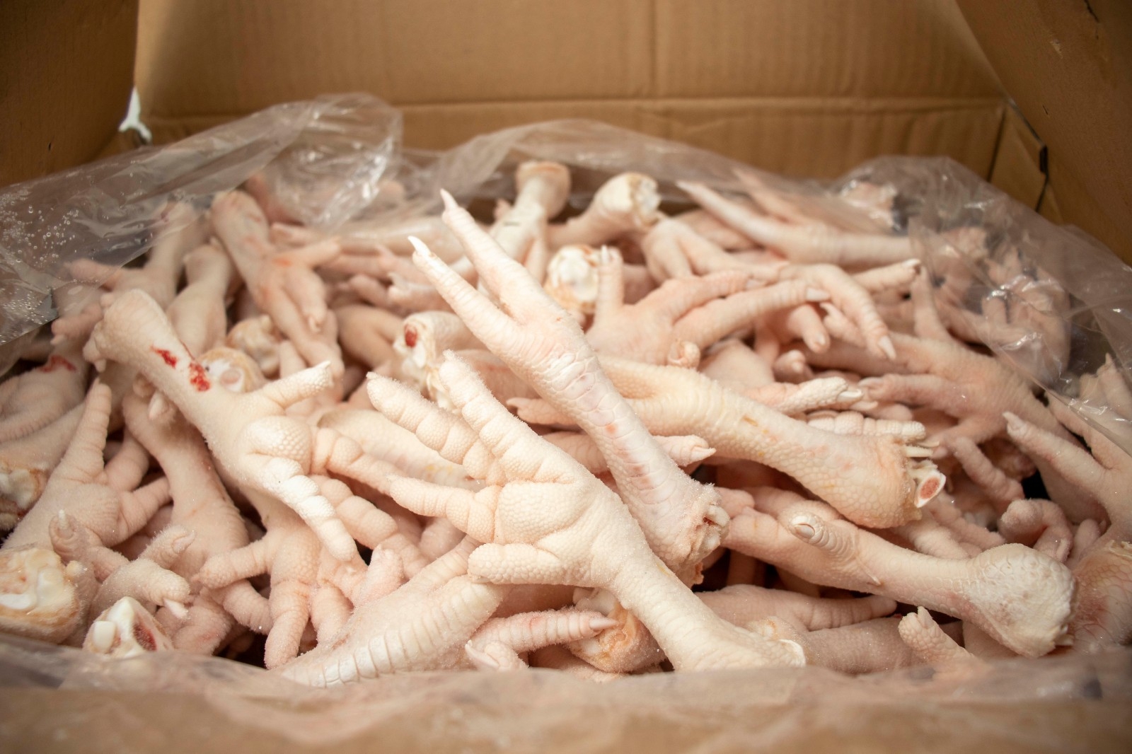 禾鑫单冻大爪50-60